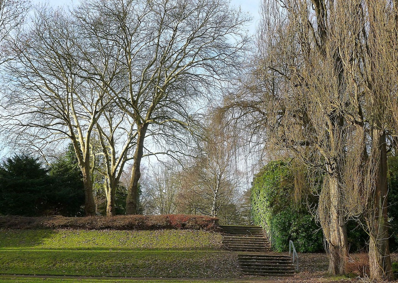 cemetery park stairs free photo