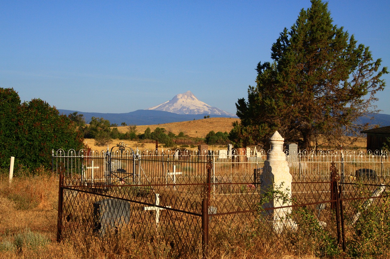 cemetery haunted halloween free photo