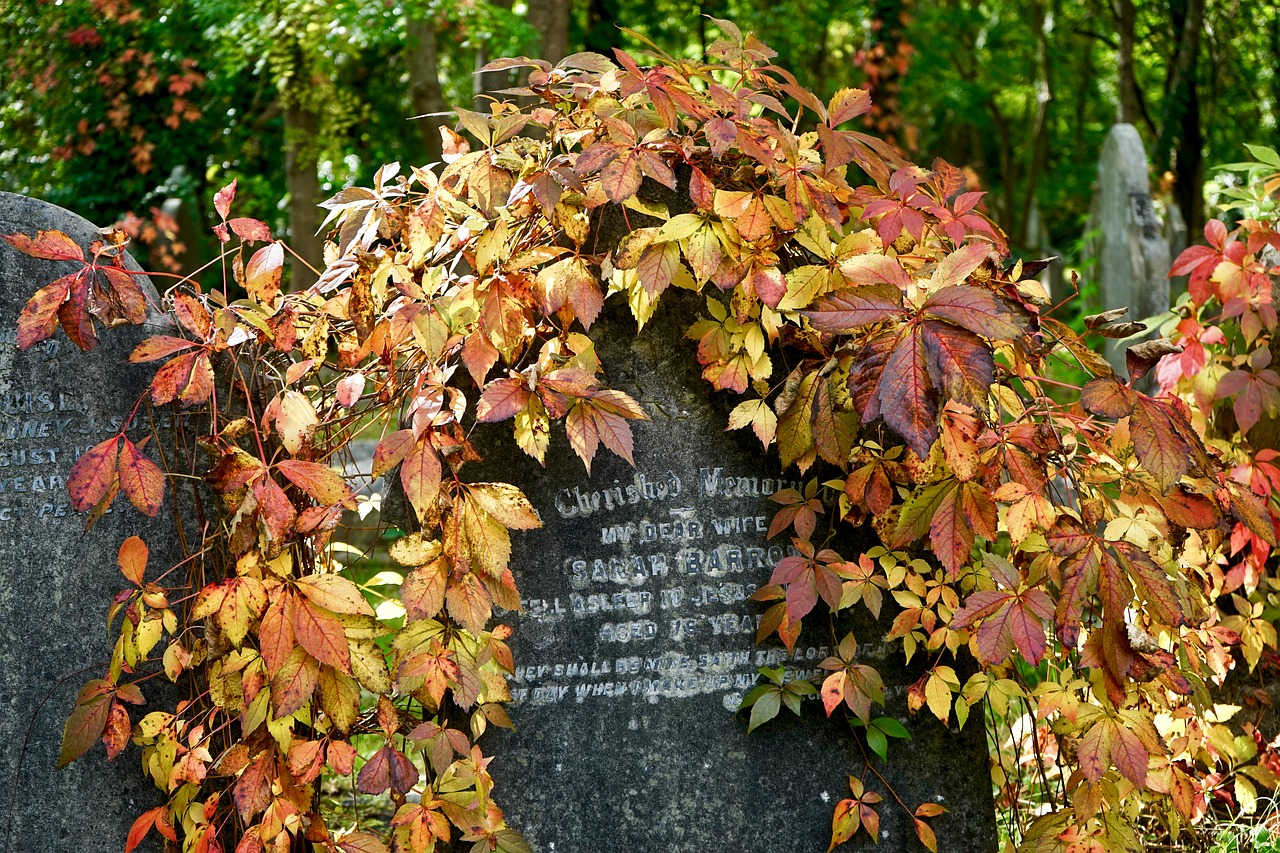 cemetery stone grave free photo