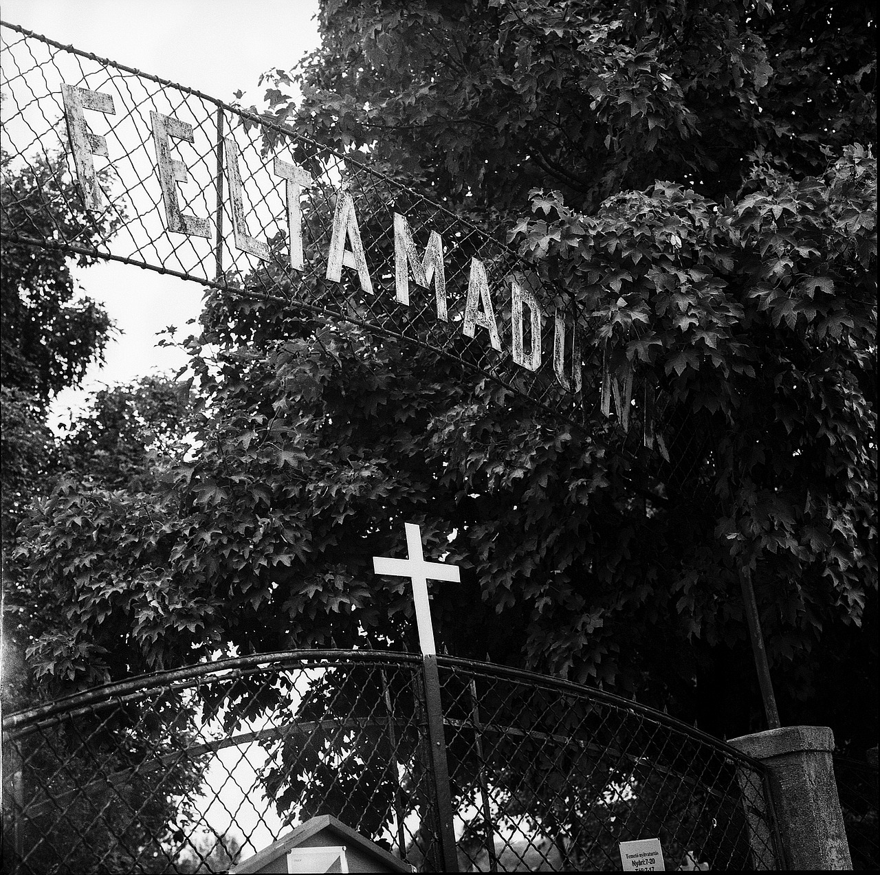 cemetery christian cross free photo