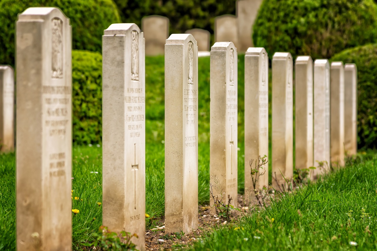 cemetery  military  graves free photo