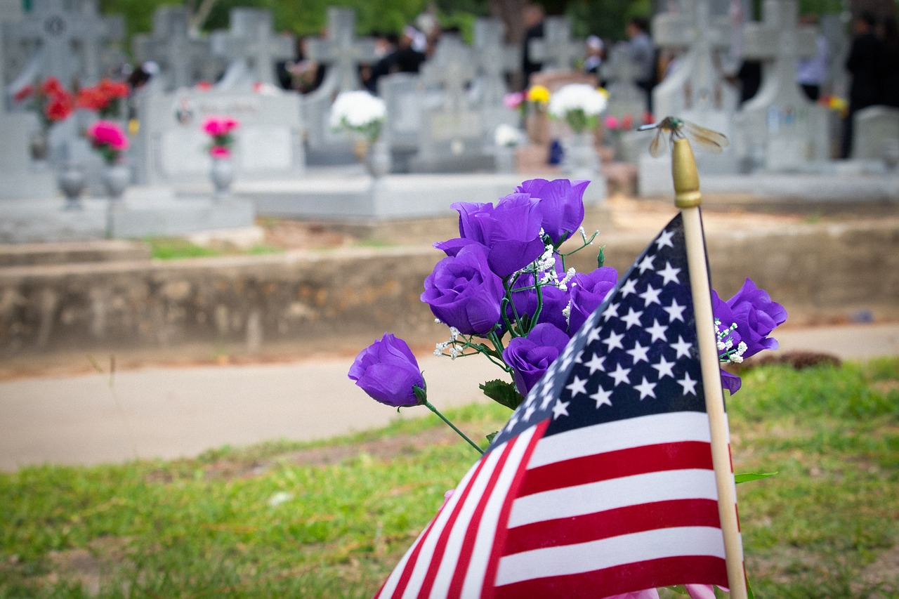 cemetery  flag  memorial free photo