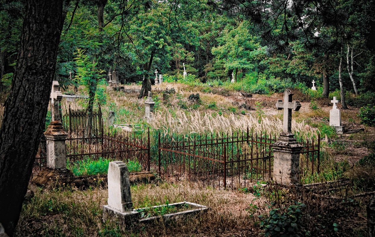 Можно ли на кладбище после обеда. Голосковское кладбище. Могила на кладбище. Старое кладбище. Красивые могилки на кладбище.