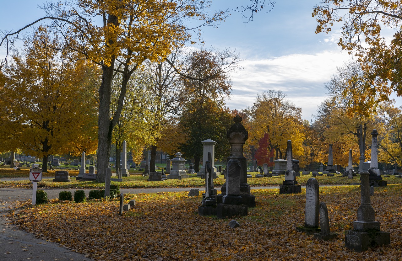 cemetery  graveyard  spooky free photo