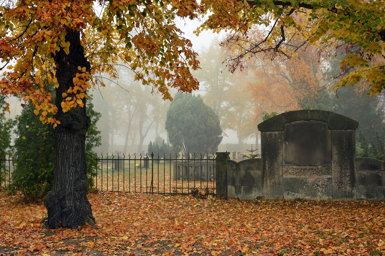 cemetery  silent  commemorate free photo