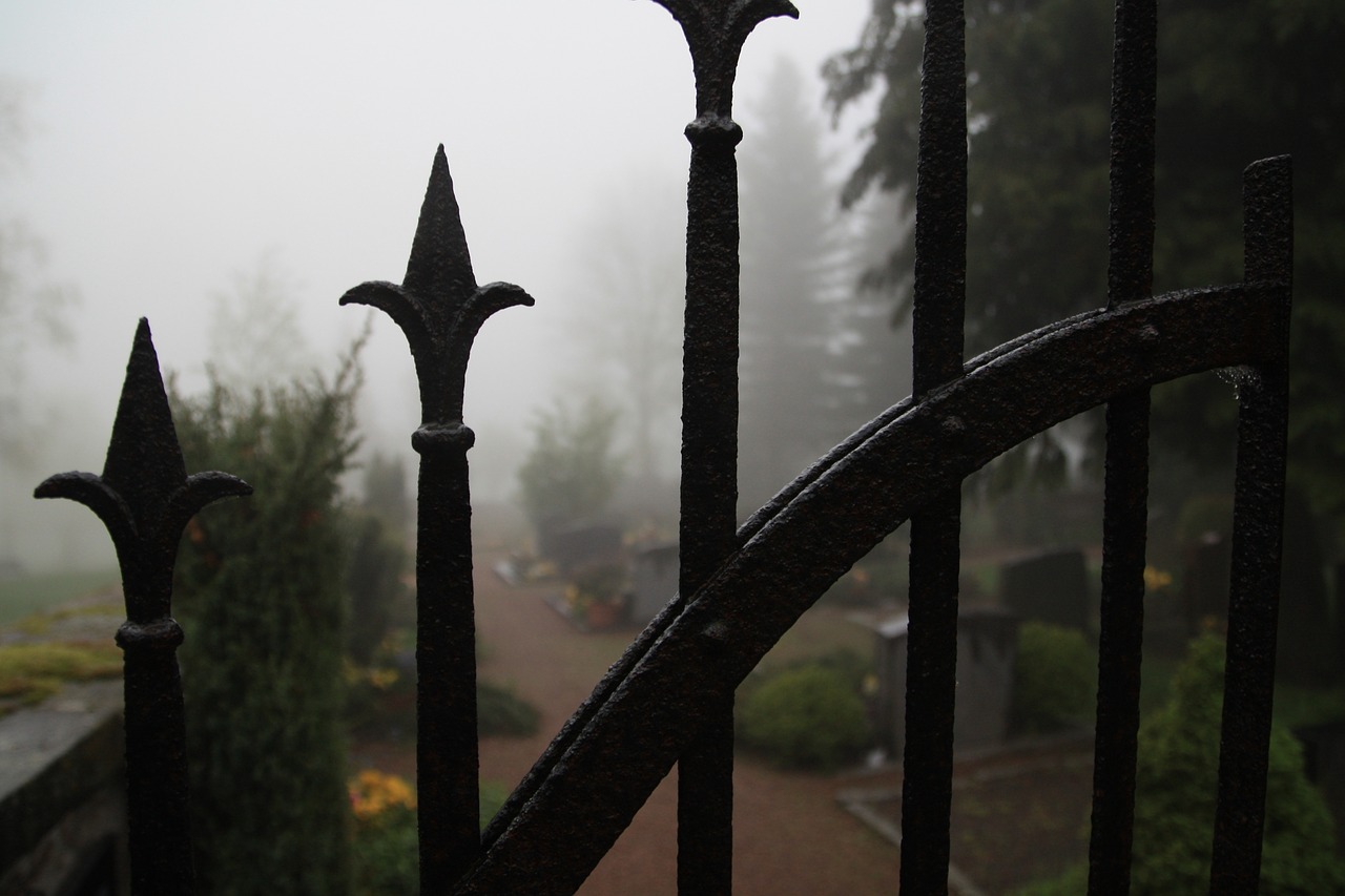 cemetery  fog  iron gate free photo