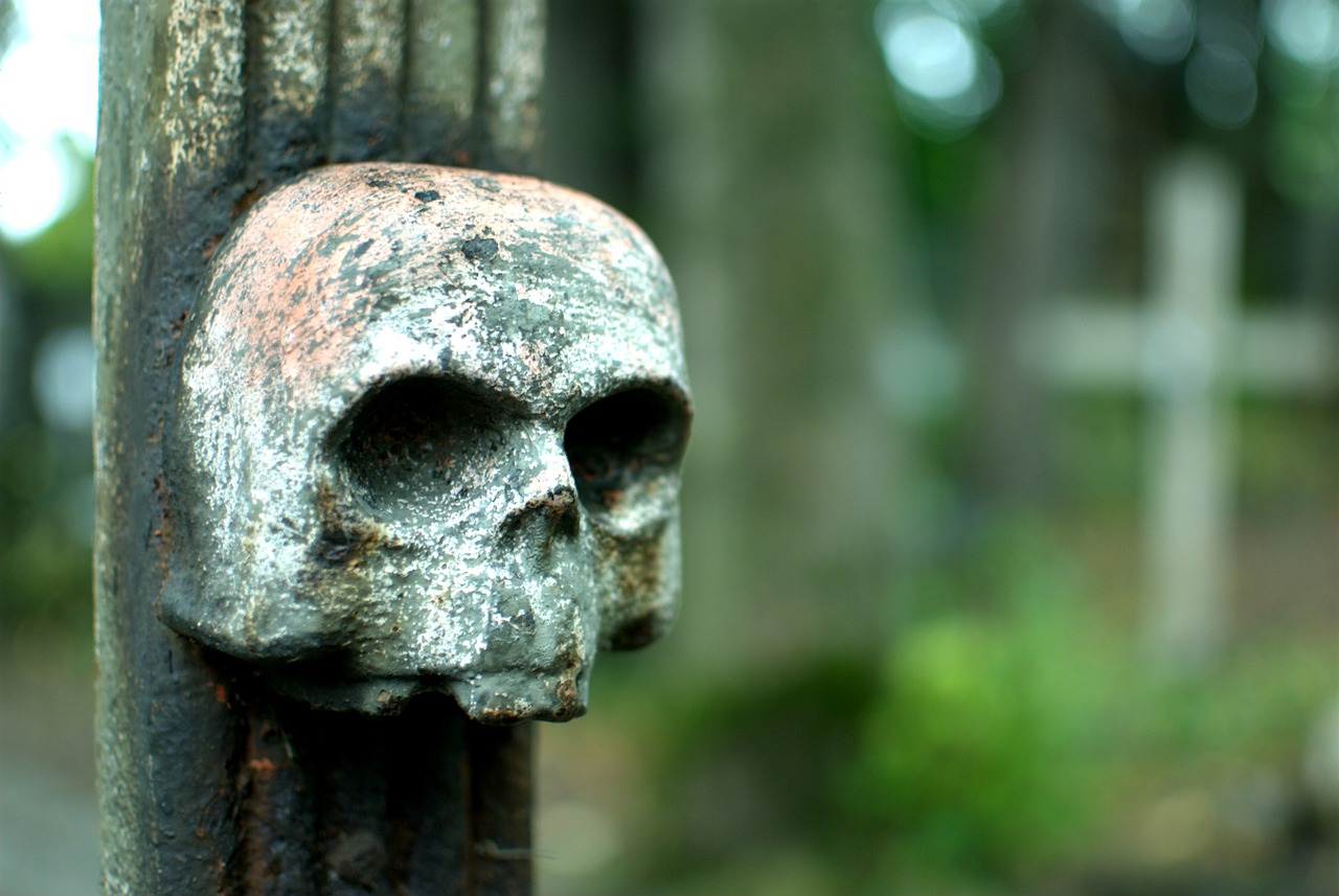 cemetery necropolis skull free photo