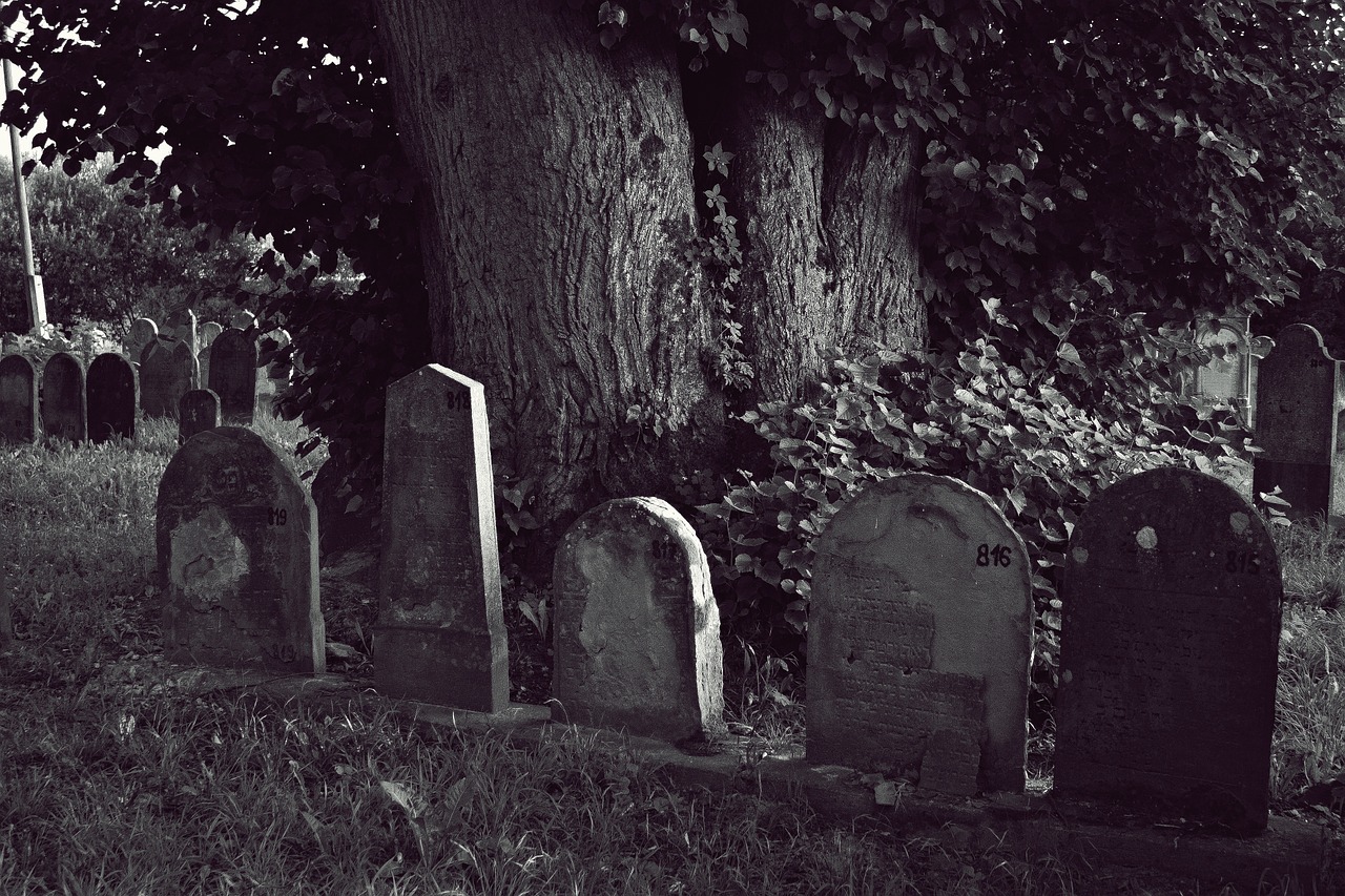 cemetery jewish headstone free photo
