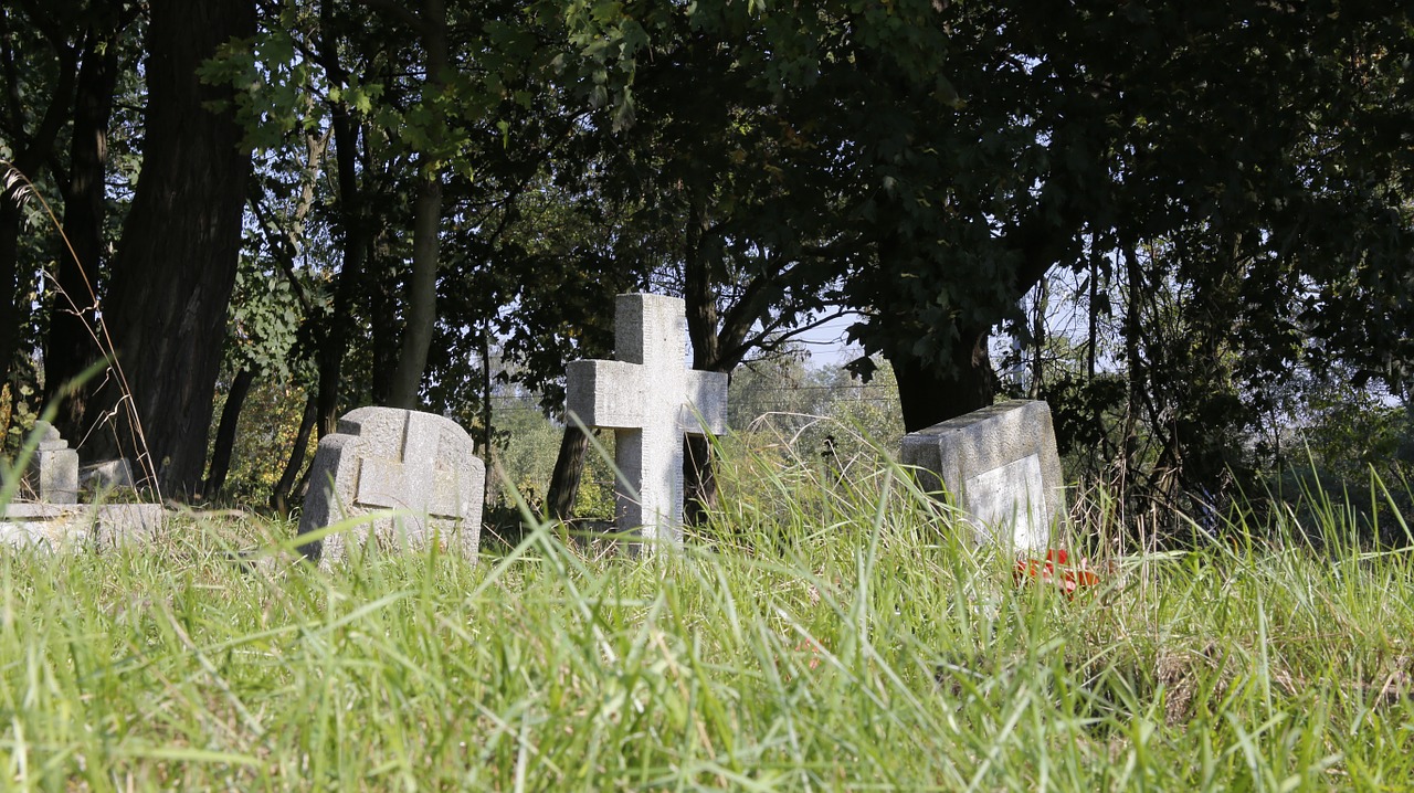 cemetery świerczewo world war ii free photo