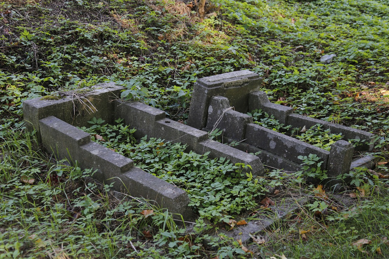 cemetery świerczewo 2 world war i free photo