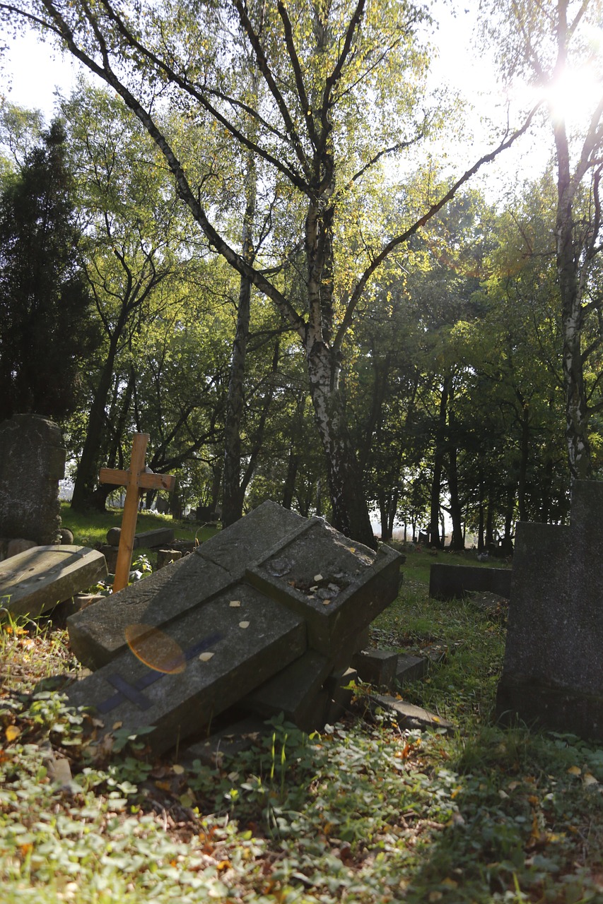 cemetery świerczewo the second world war free photo
