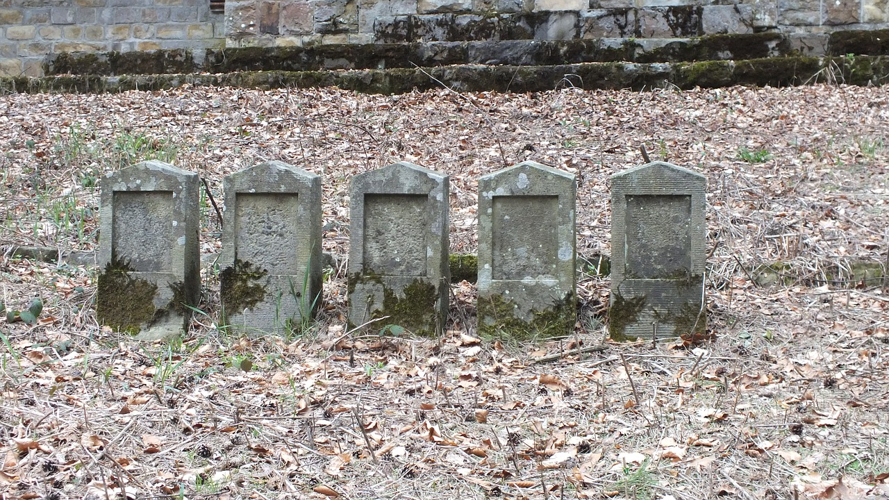 cemetery the military the war free photo