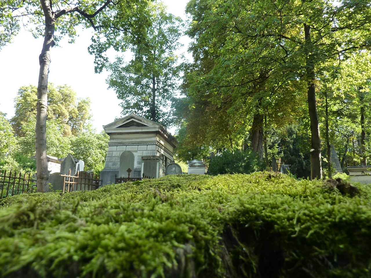 cemetery foam falls free photo