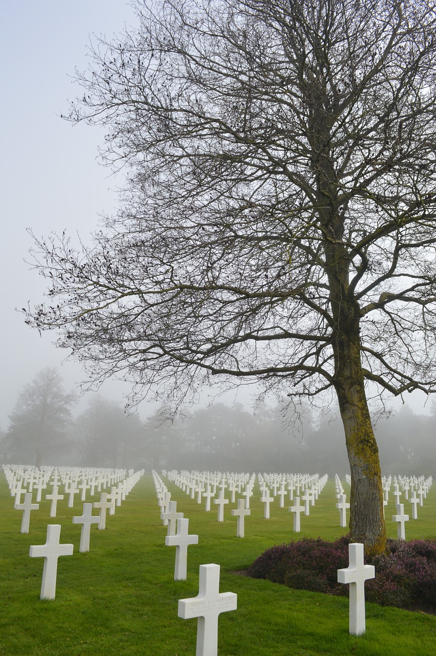 cemetery american cemetery landing free photo