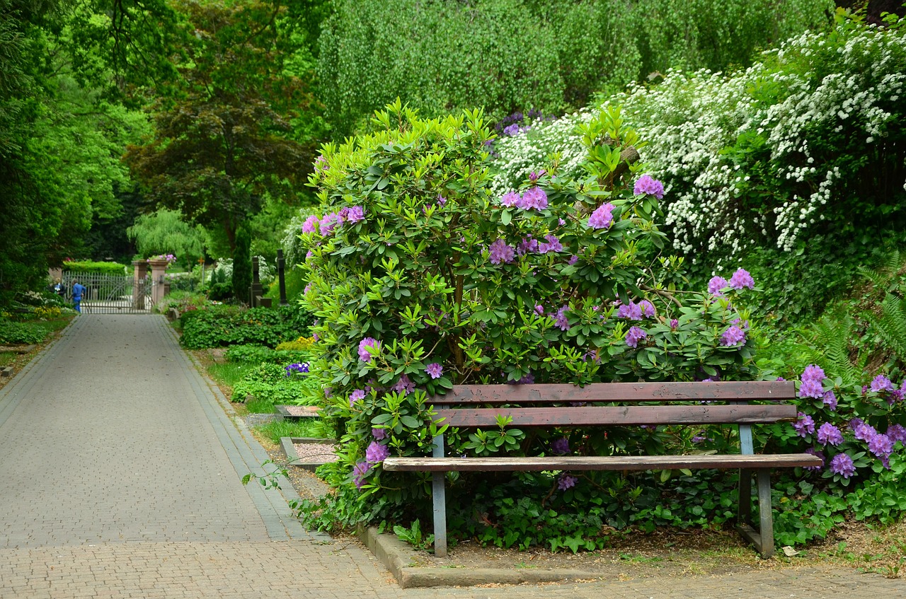 cemetery cemetery complex bank free photo