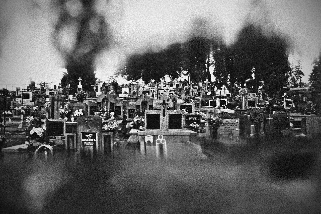 cemetery bw b&w free photo
