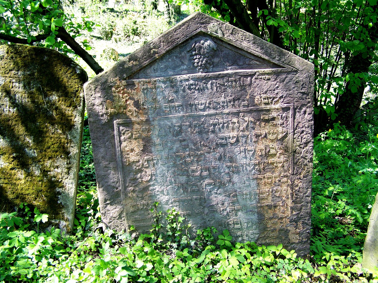 cemetery jewish old free photo