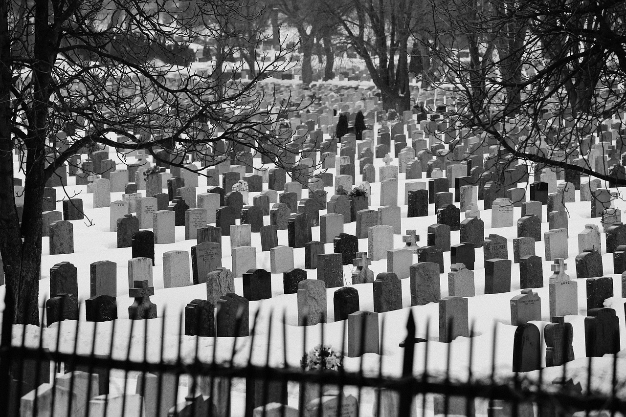 cemetery graves tombstones free photo