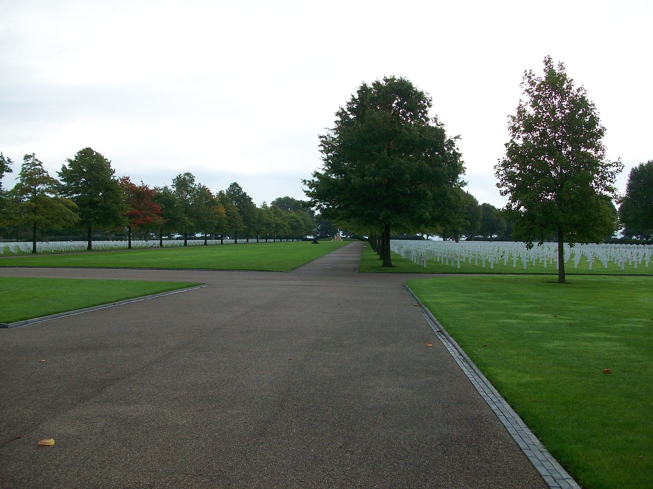 cemetery cross war free photo