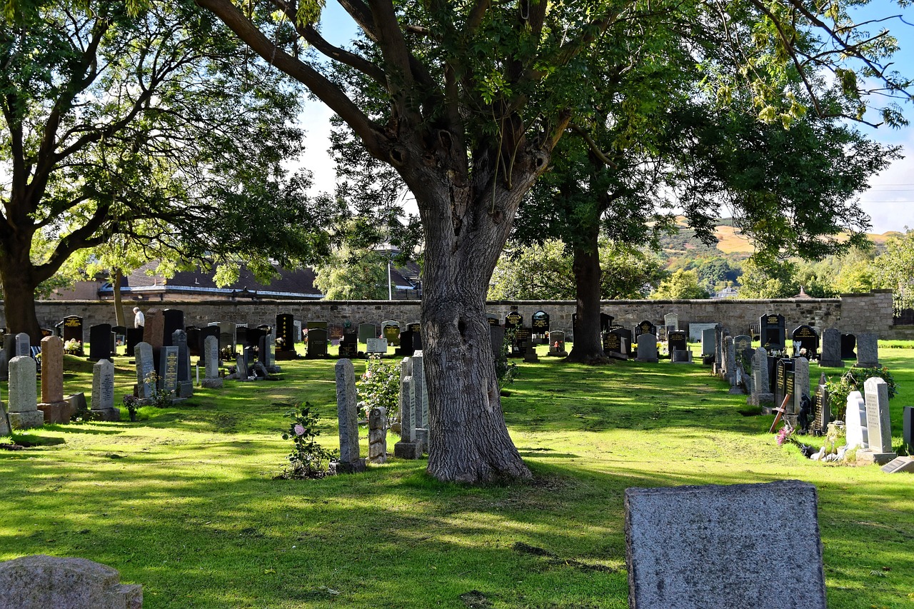 cemetery gravestones grave free photo