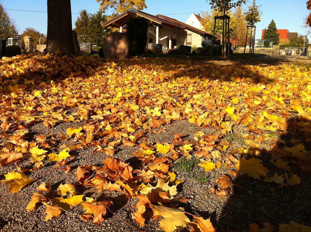 cemetery autumn transience free photo