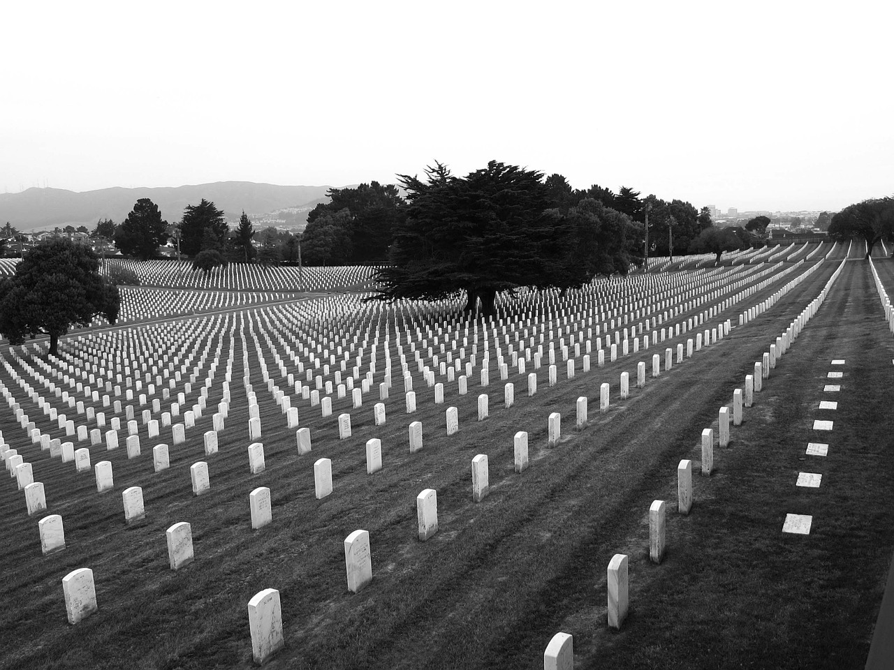cemetery graves soldiers free photo