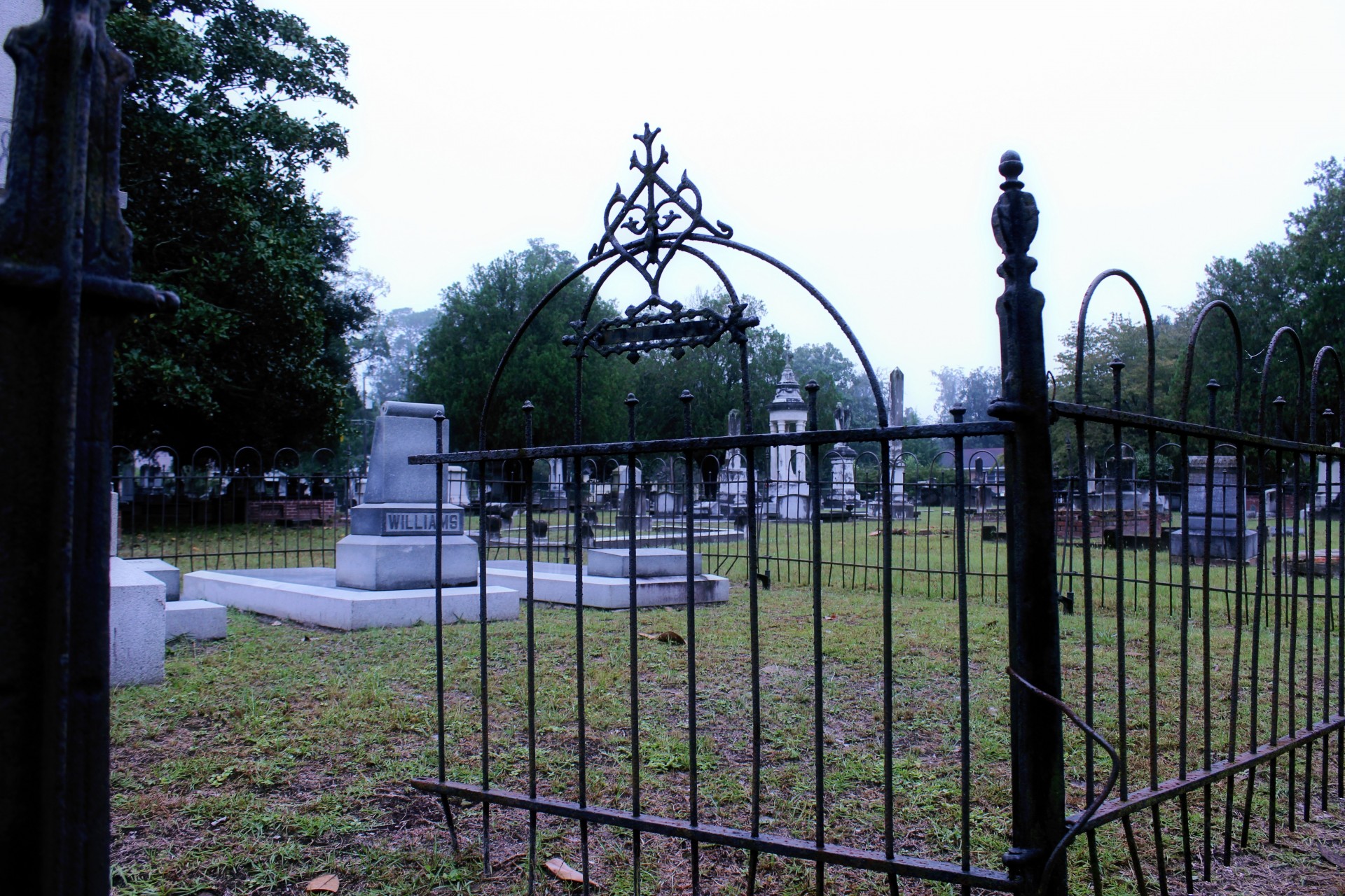 fence cemetery door free photo