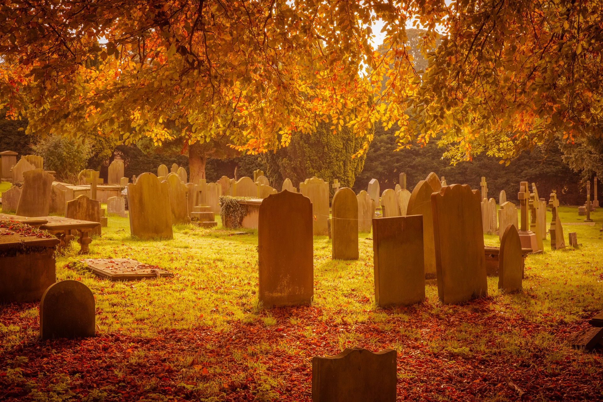 autumn cemetery death free photo