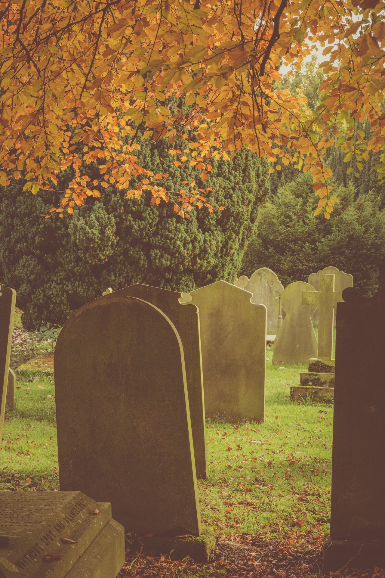 autumn cemetery death free photo