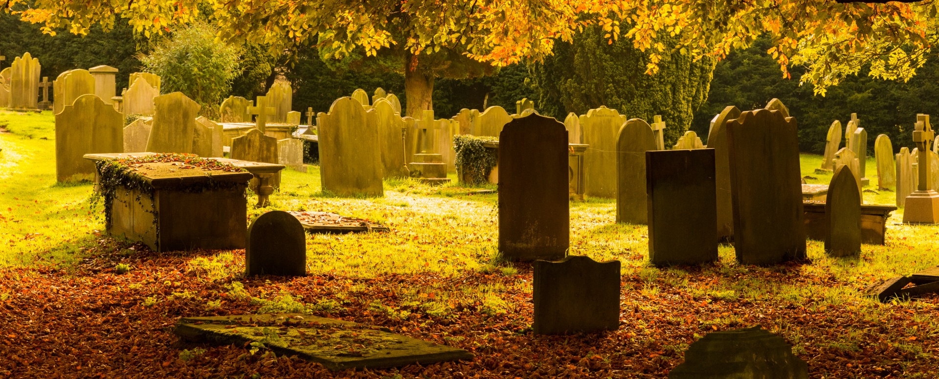 autumn cemetery death free photo