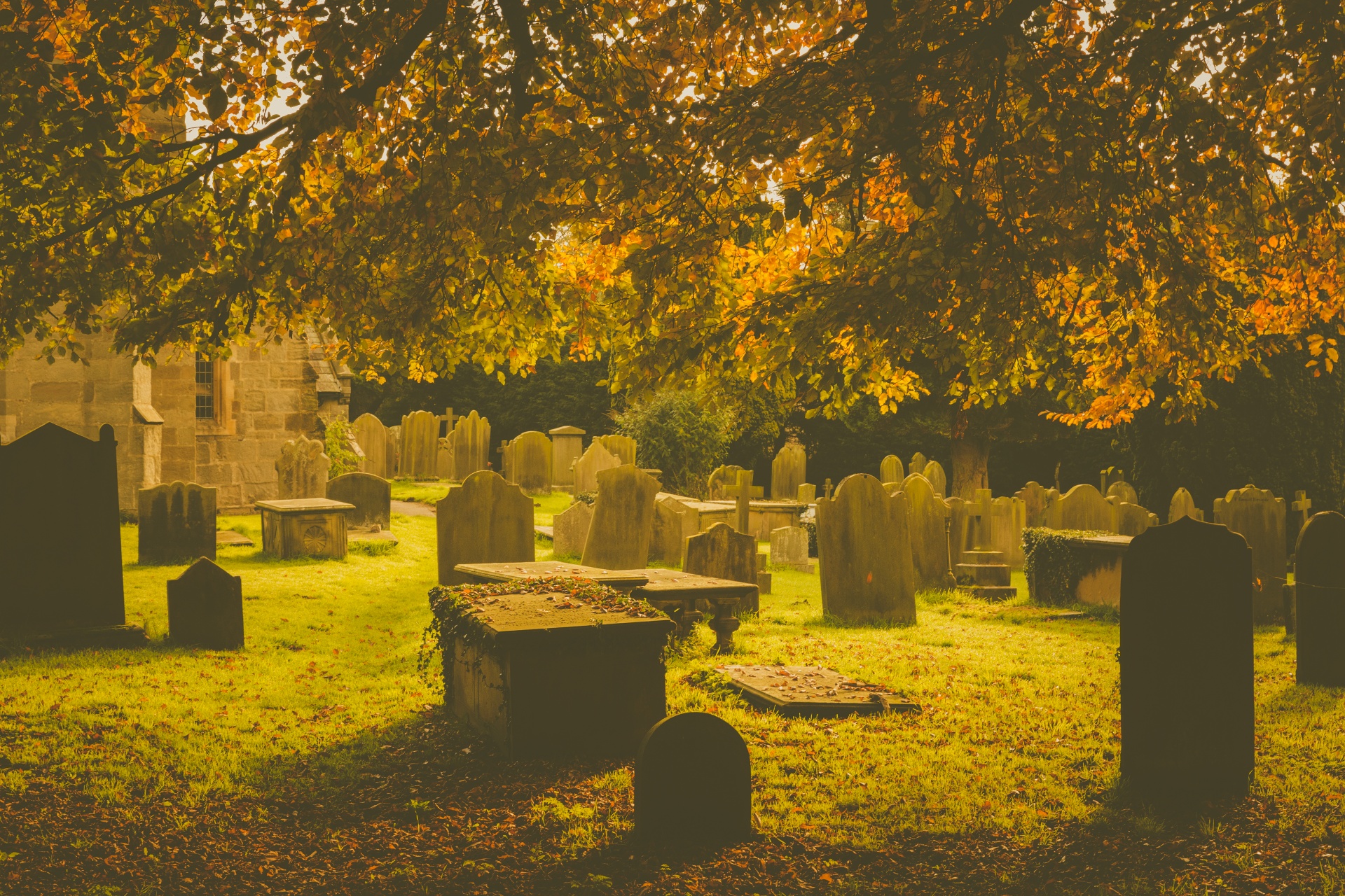 autumn cemetery death free photo