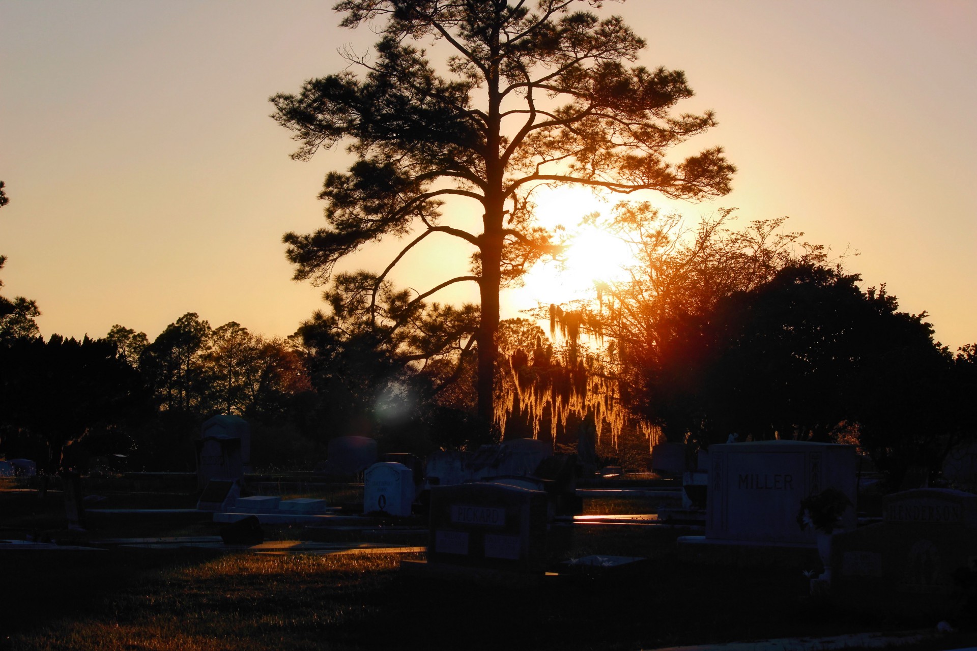 cemetery silhouette dusk free photo