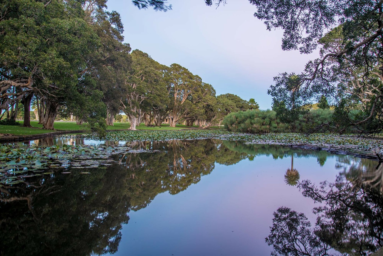 centennial park sydney australia free photo