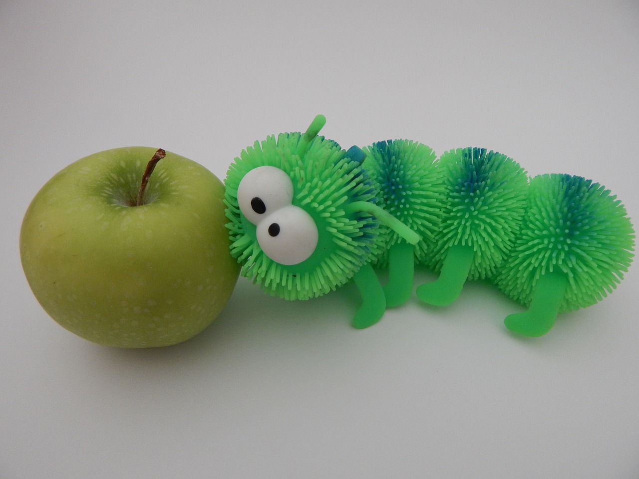 centipede apple worm free photo