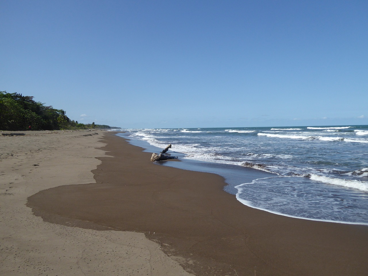 central america costa rica national park free photo