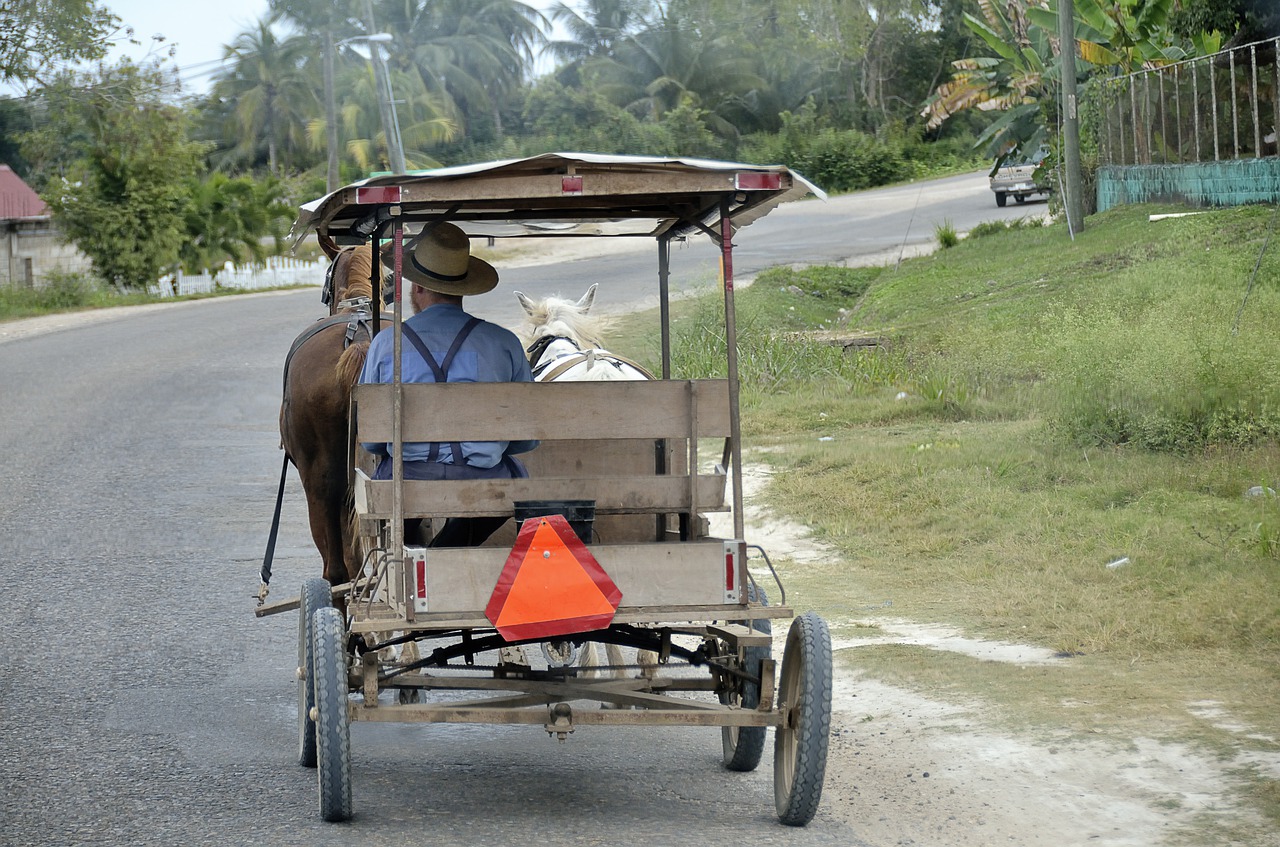 central america belize horse drawn carriage free photo