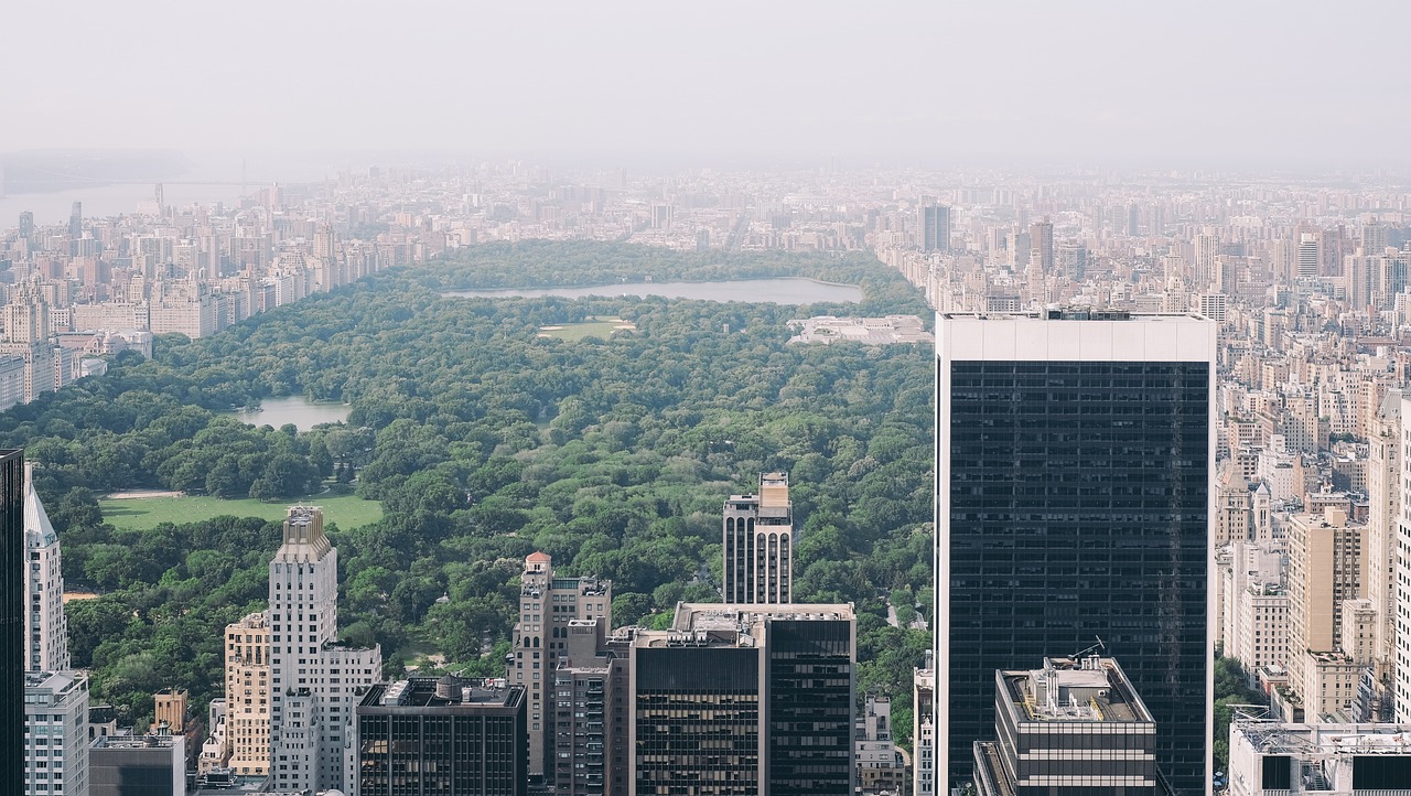 central park new york nyc free photo