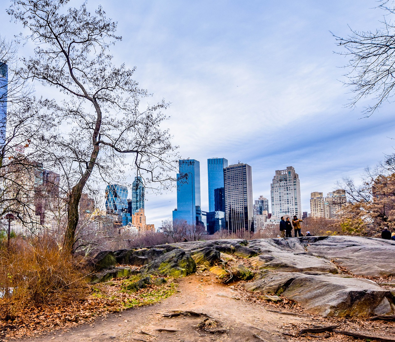 central park new york wiinter free photo