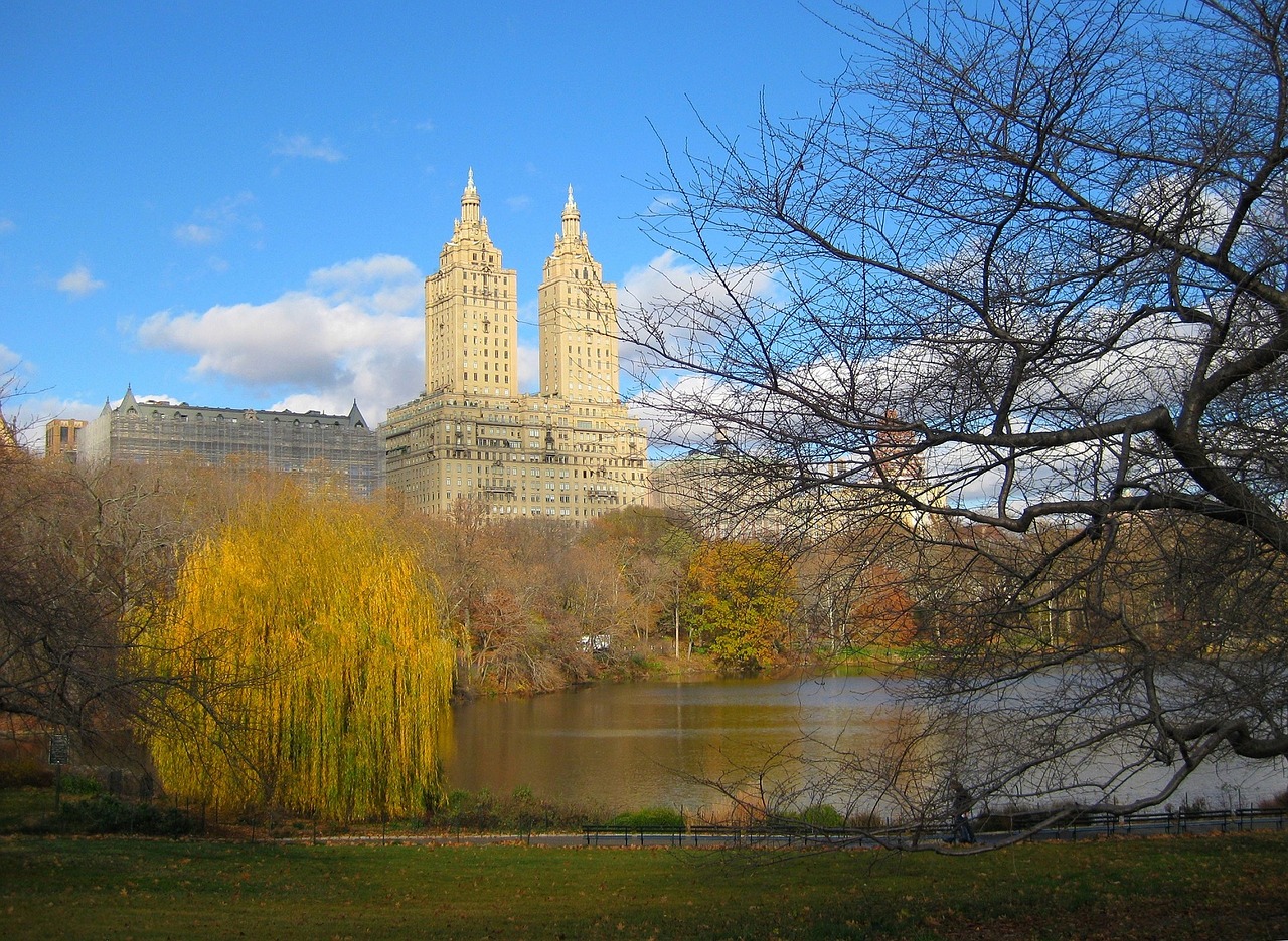 central park manhattan skyline free photo