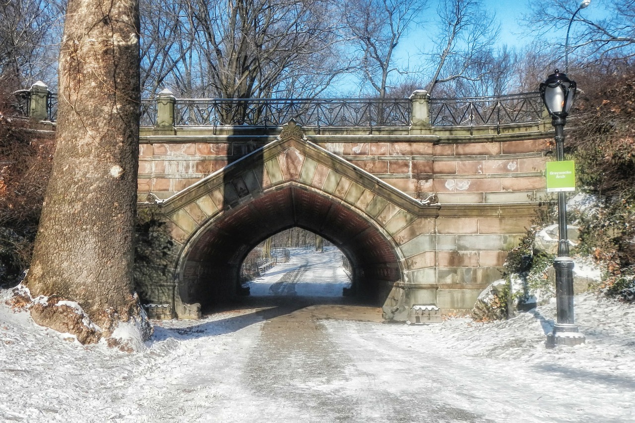 central park new york city landmark free photo