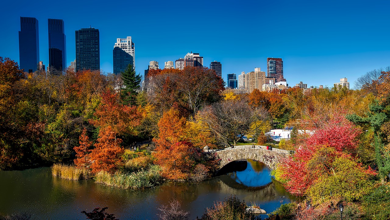 central park new york city urban free photo