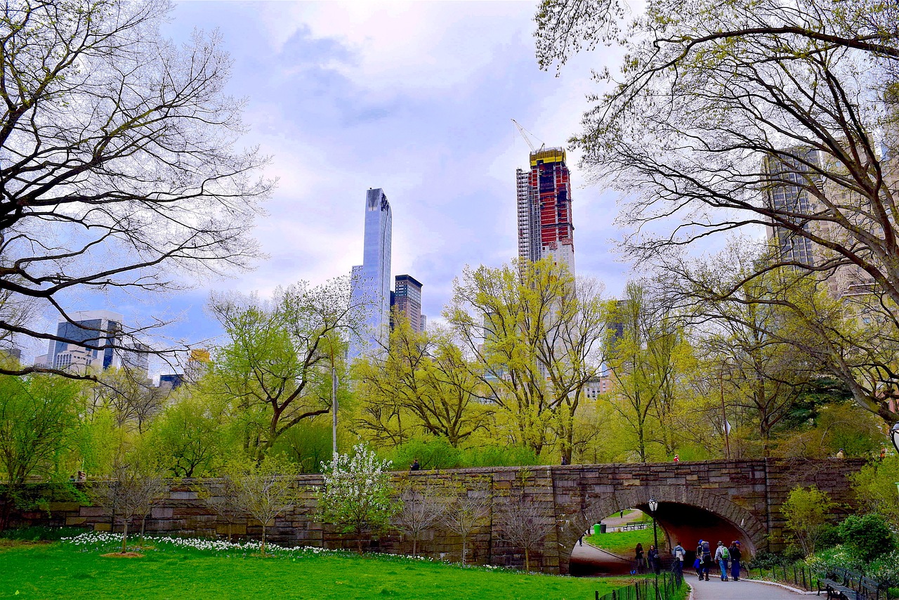 central park nyc spring free photo