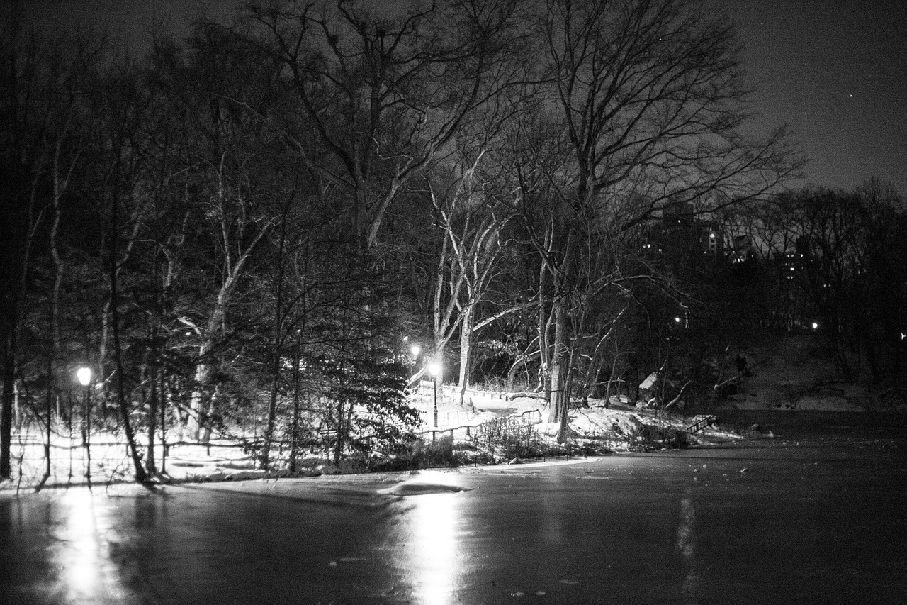 central park night shade free photo