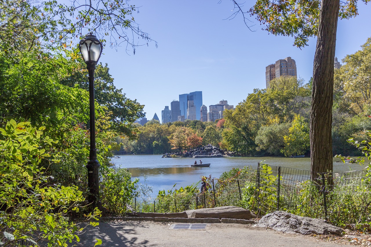 central park  new york  park free photo