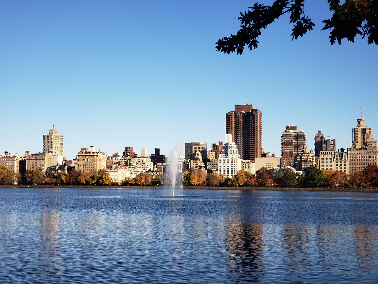 central park  new york  nyc free photo