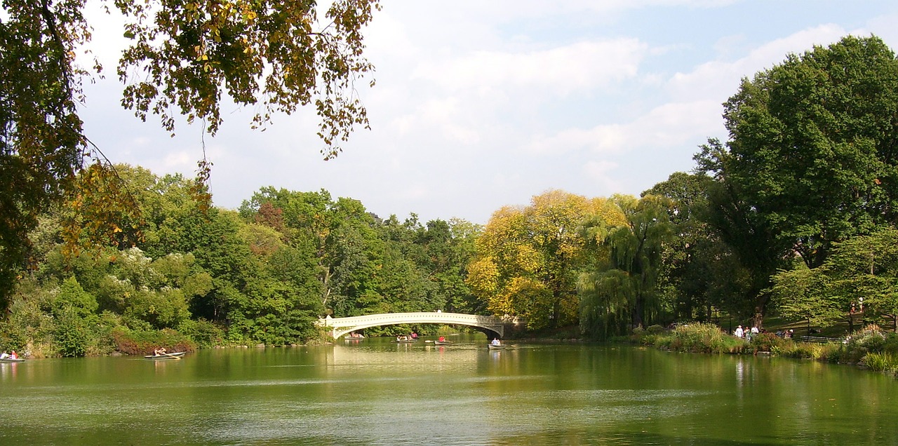 central park new york city nyc free photo