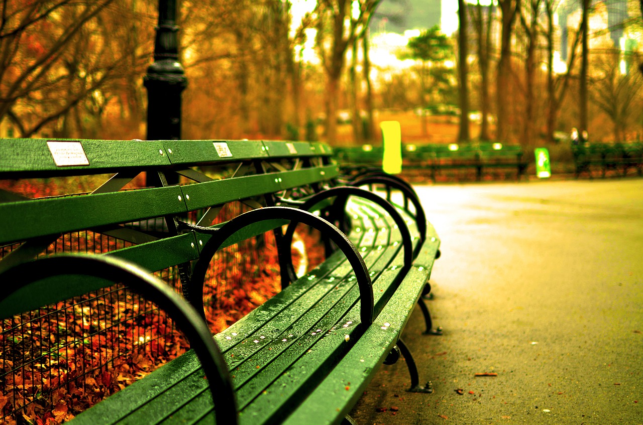 central park new york city benches free photo