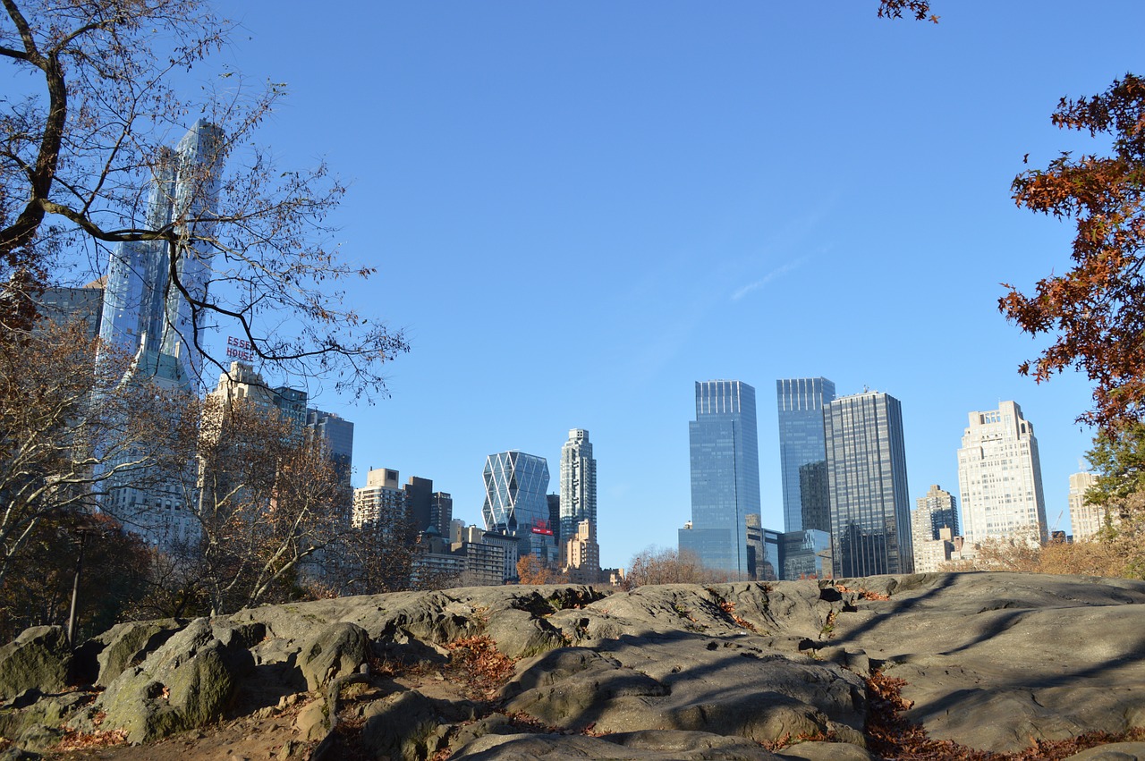 central park new york united states free photo