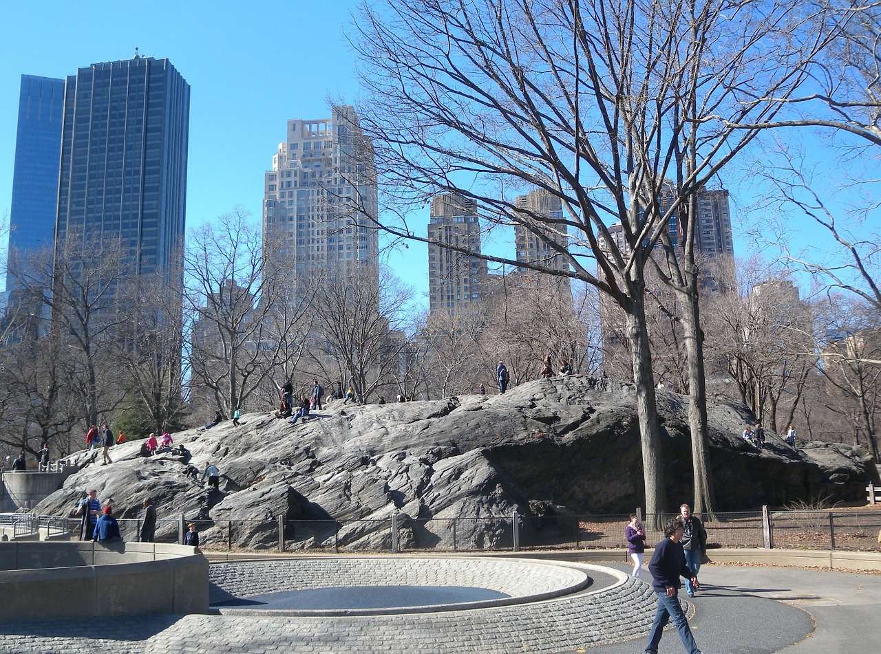 central park new york city skyscrapers free photo