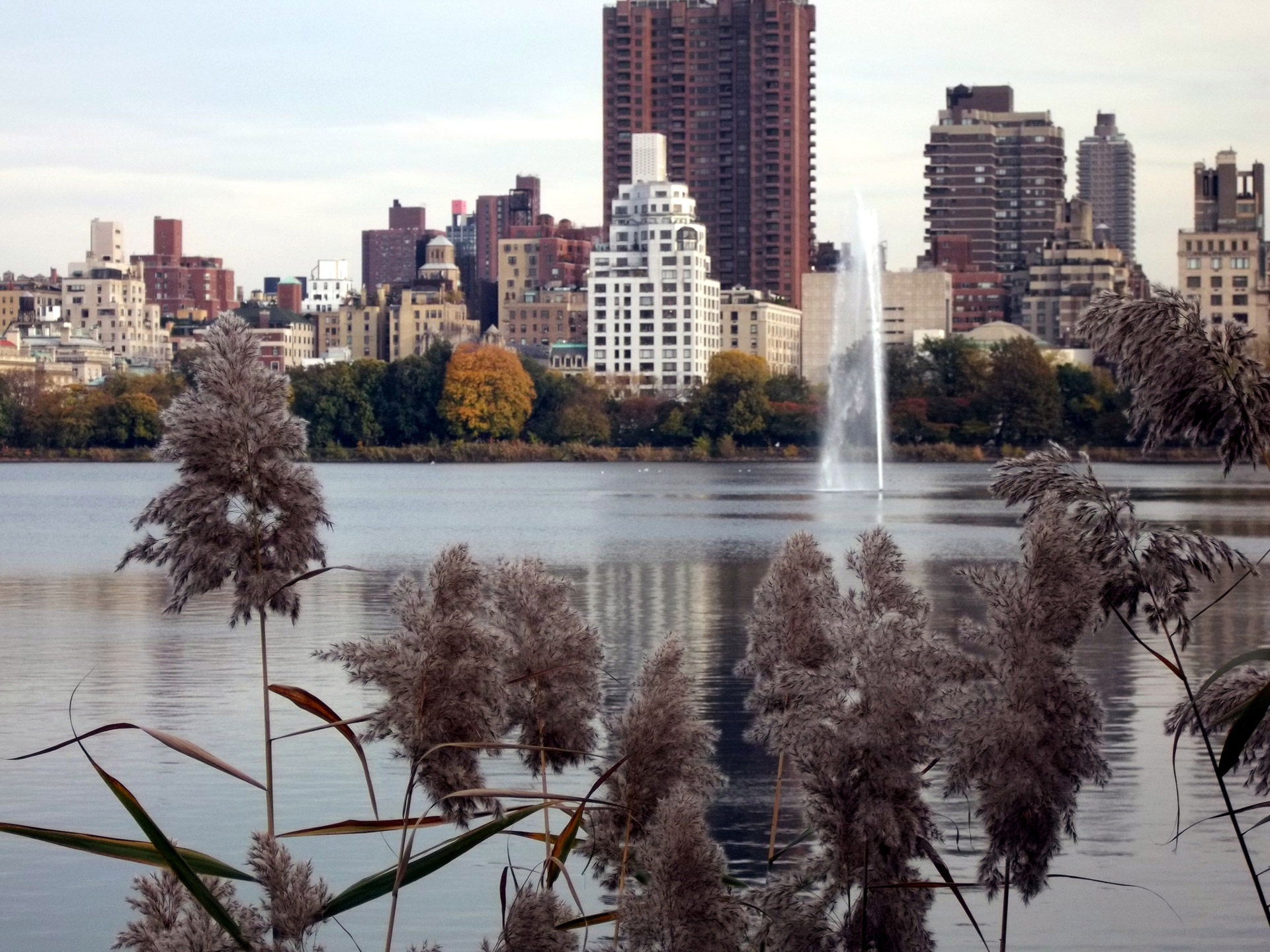 park fountain water free photo